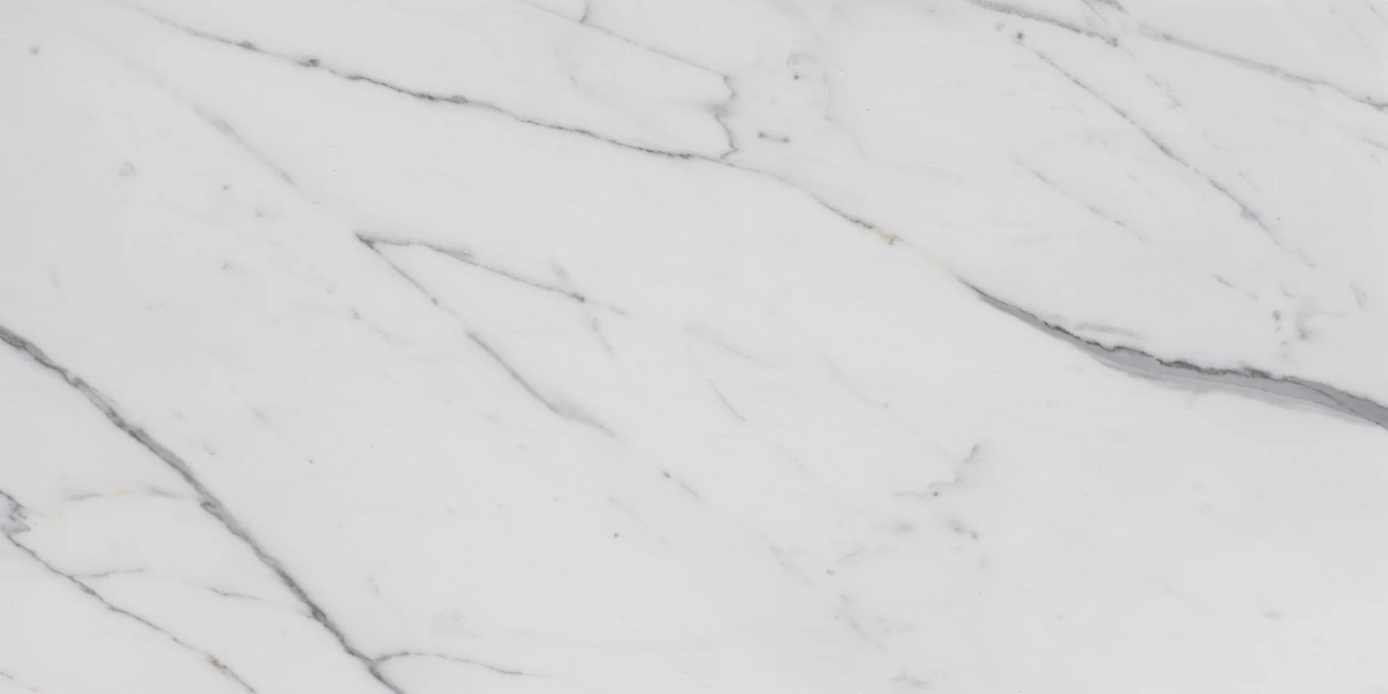 Statuario winter2.webp